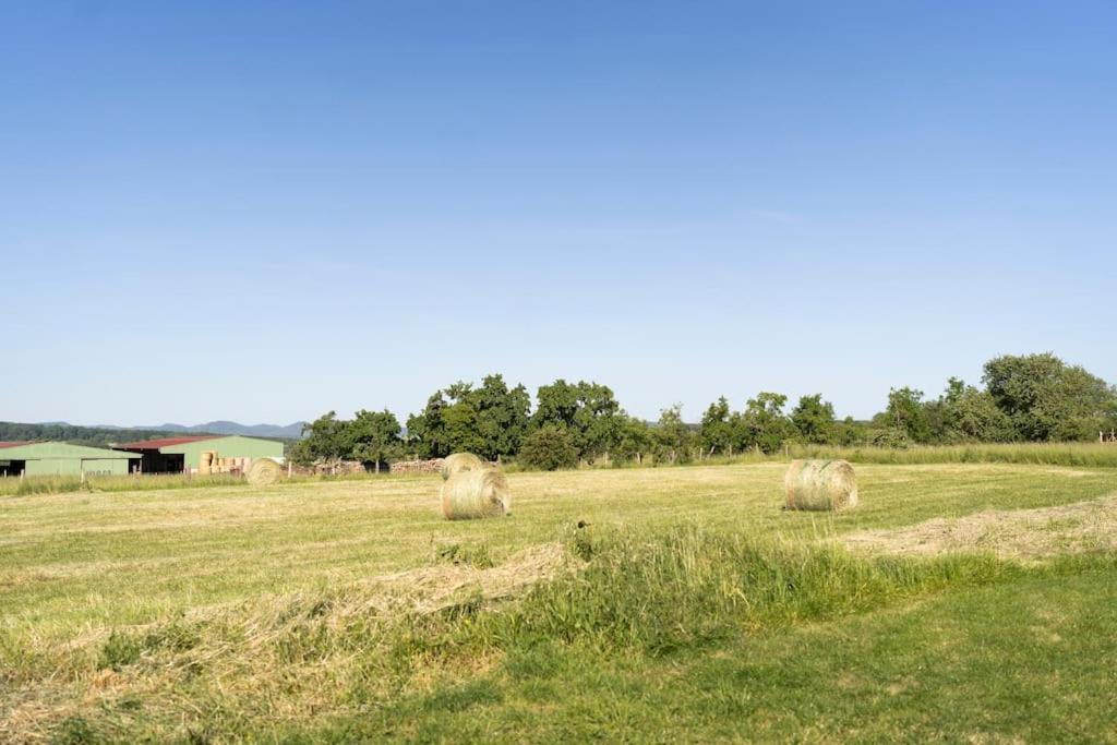 Maison A La Campagne 6 Personnes Zutzendorf ภายนอก รูปภาพ